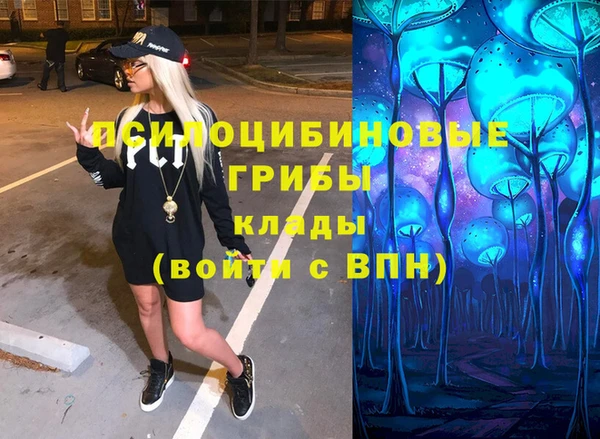 твердый Алексеевка