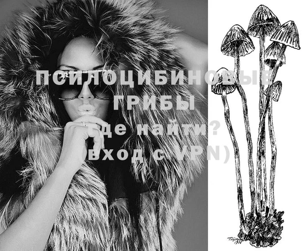 твердый Алексеевка