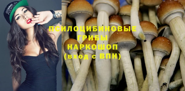 гидра Новокубанск