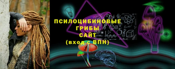 твердый Алексеевка