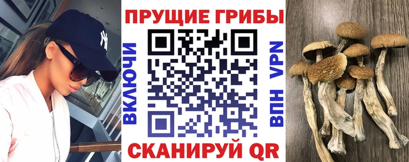 Галлюциногенные грибы мухоморы  купить наркотик  Бердск 