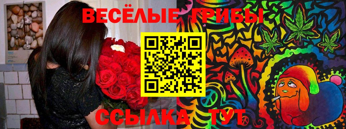Бердск  Псилоцибиновые грибы Magic Shrooms  Вход с VPN 