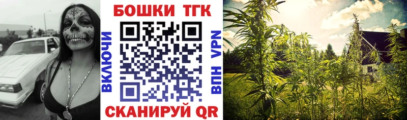 Канабис сатива  Бердск 